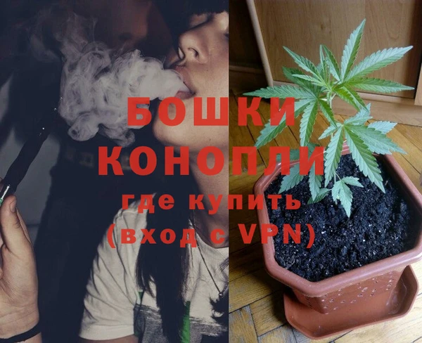 эйфоретик Инта