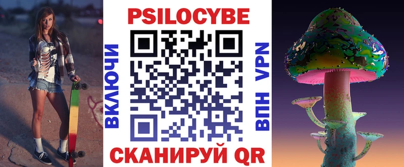 Купить где  Гусь-Хрустальный  Галлюциногенные грибы Cubensis 